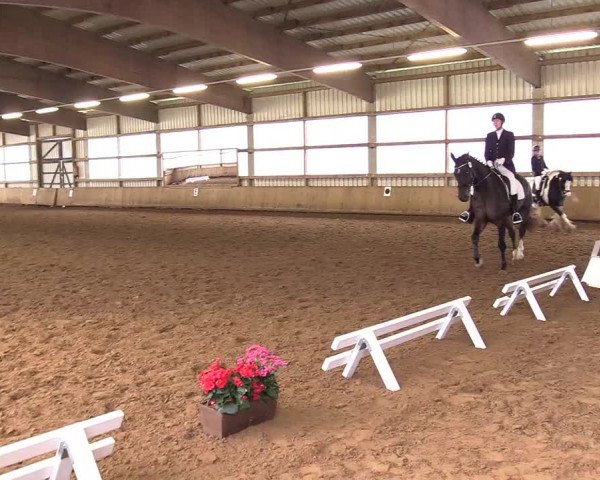 Reitturnier Werdohl-Rentrop 2017