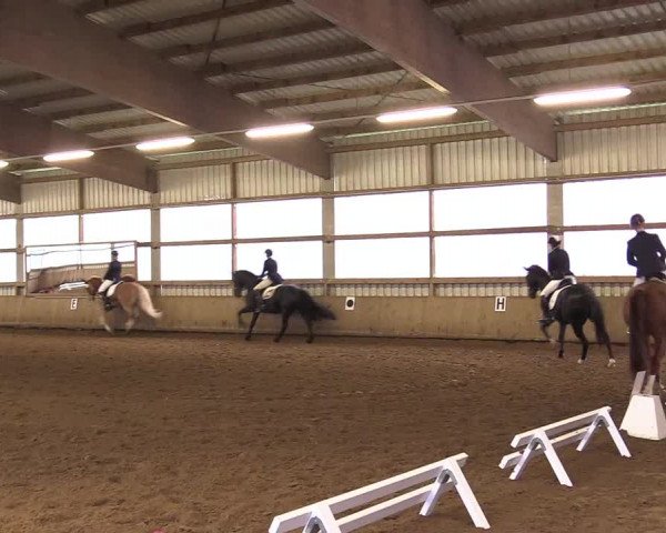 Reitturnier Werdohl-Rentrop 2017