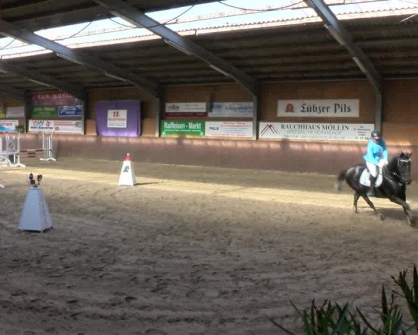 Reitturnier Gadebusch 2017
