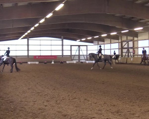 Reitturnier Werdohl-Rentrop 2017