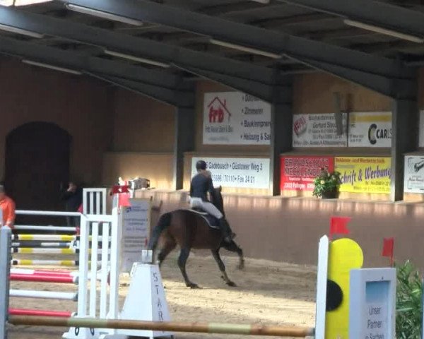 Reitturnier Gadebusch 2017