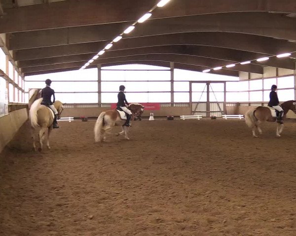 Reitturnier Werdohl-Rentrop 2017