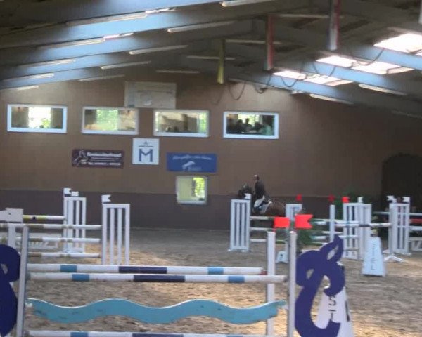 Reitturnier Gadebusch 2017