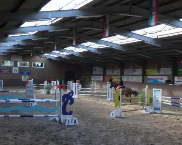 Reitturnier Gadebusch 2017