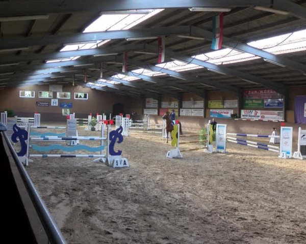 Reitturnier Gadebusch 2017