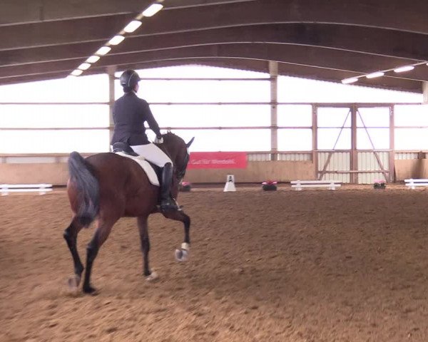 Reitturnier Werdohl-Rentrop 2017