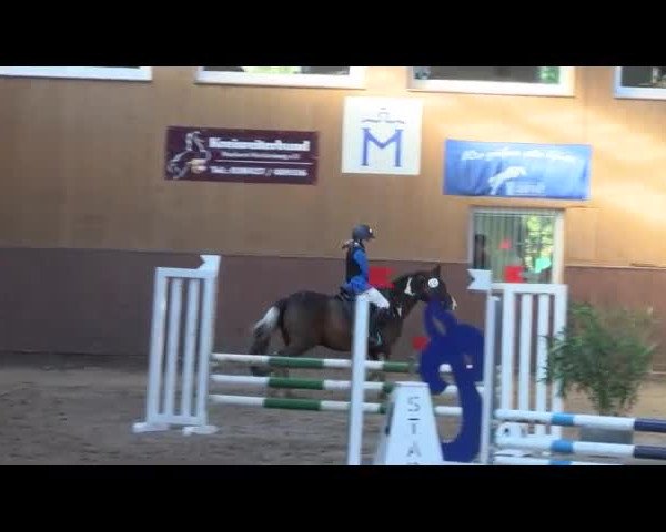 Reitturnier Gadebusch 2017