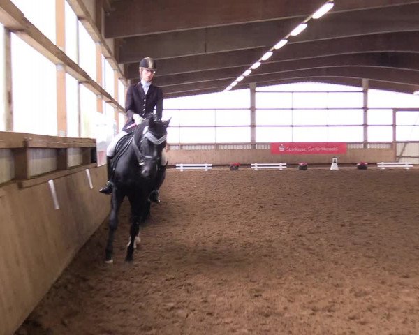 Reitturnier Werdohl-Rentrop 2017