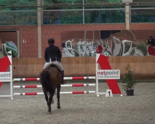 Reitturnier Mönchengladbach-Wickrath 2017
