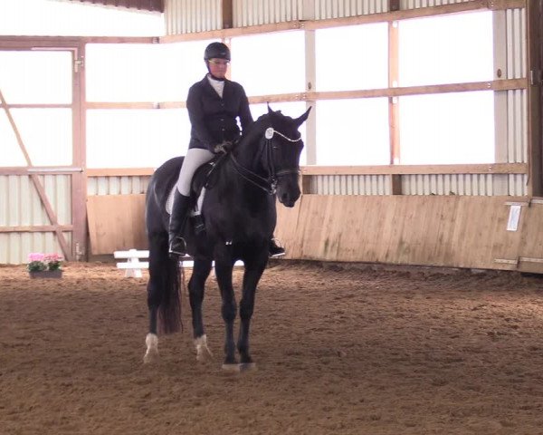 Reitturnier Werdohl-Rentrop 2017