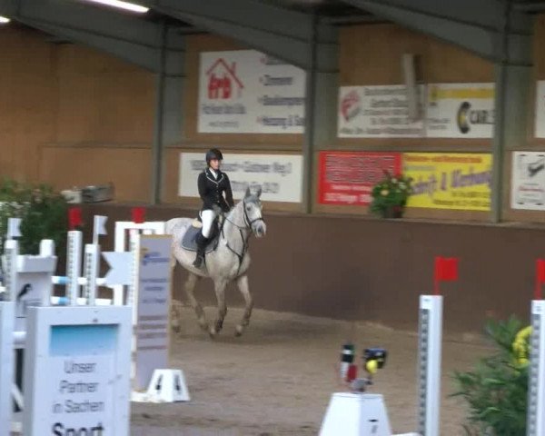 Reitturnier Gadebusch 2017