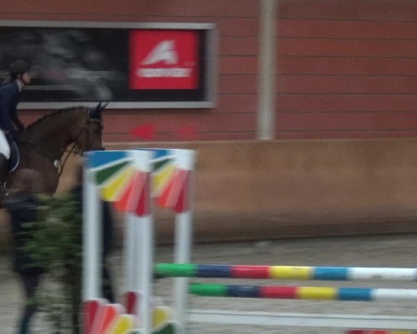 Reitturnier Mönchengladbach-Wickrath 2017