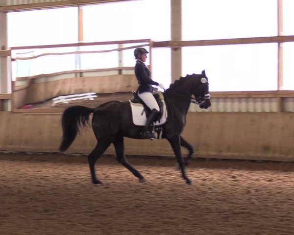 Reitturnier Werdohl-Rentrop 2017