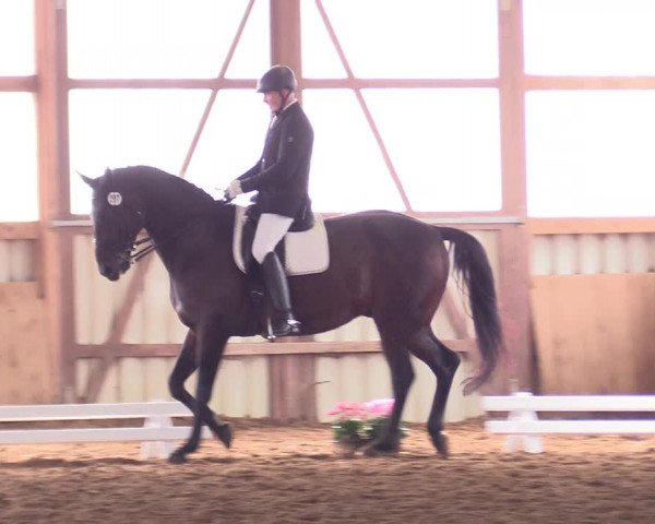 Reitturnier Werdohl-Rentrop 2017