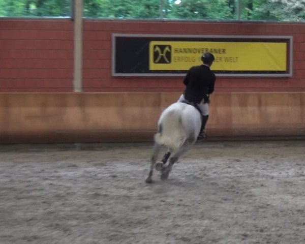 Reitturnier Mönchengladbach-Wickrath 2017