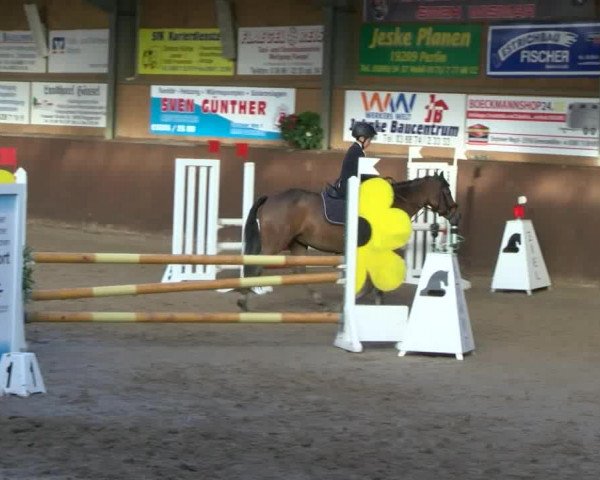 Reitturnier Gadebusch 2017