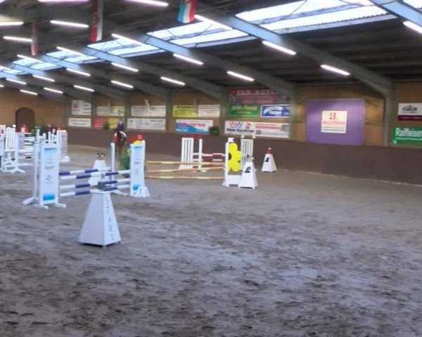Reitturnier Gadebusch 2017