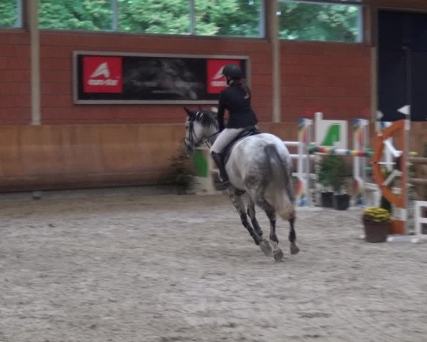 Reitturnier Mönchengladbach-Wickrath 2017