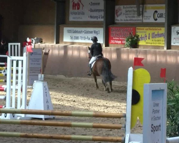 Reitturnier Gadebusch 2017