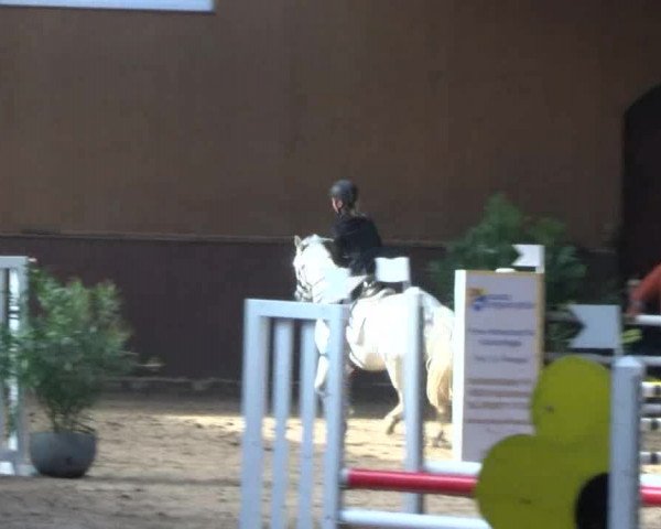 Reitturnier Gadebusch 2017