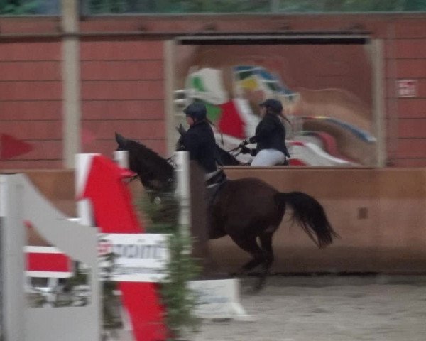 Reitturnier Mönchengladbach-Wickrath 2017
