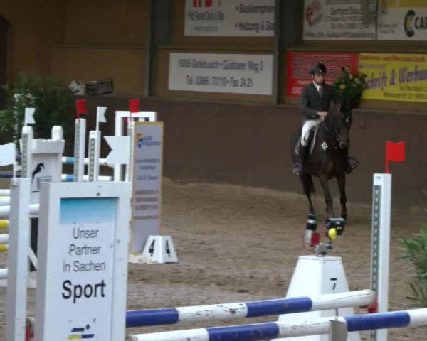 Reitturnier Gadebusch 2017