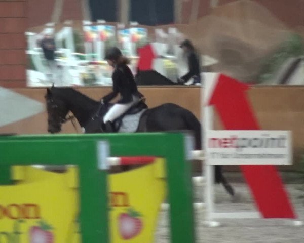 Reitturnier Mönchengladbach-Wickrath 2017