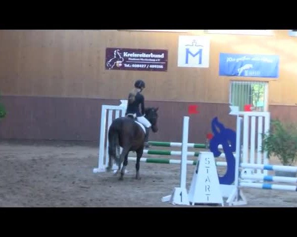 Reitturnier Gadebusch 2017