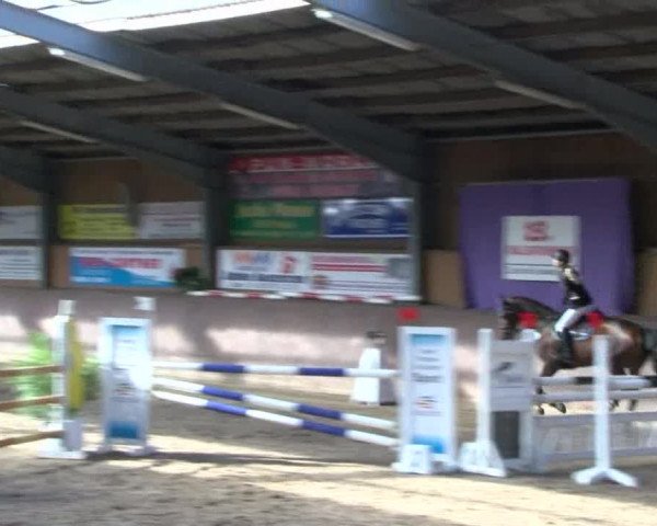 Reitturnier Gadebusch 2017