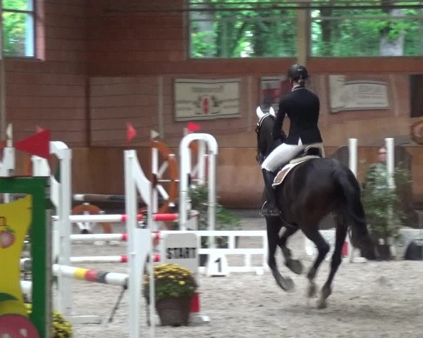Reitturnier Mönchengladbach-Wickrath 2017