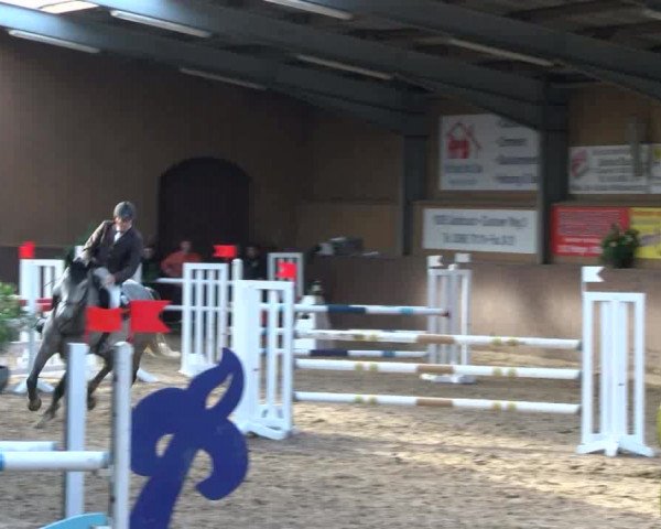 Reitturnier Gadebusch 2017