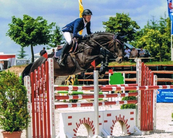 jumper Faja 9 (German Sport Horse, 2008, from Saccor)
