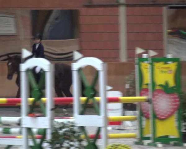 Reitturnier Mönchengladbach-Wickrath 2017