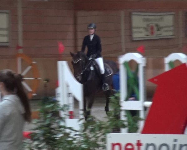 Reitturnier Mönchengladbach-Wickrath 2017