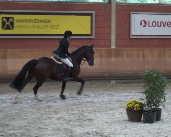 Reitturnier Mönchengladbach-Wickrath 2017