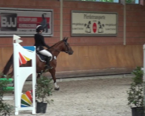 Reitturnier Mönchengladbach-Wickrath 2017