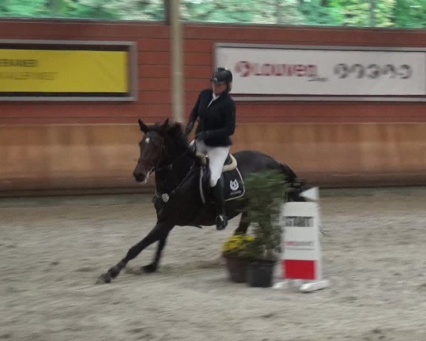 Reitturnier Mönchengladbach-Wickrath 2017