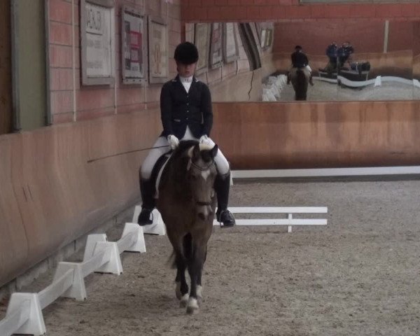 Reitturnier Mönchengladbach-Wickrath 2017