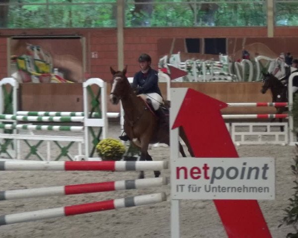 Reitturnier Mönchengladbach-Wickrath 2017
