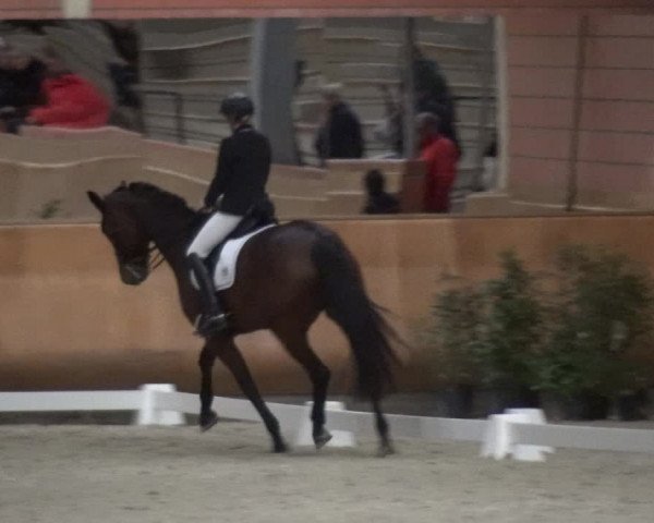 Reitturnier Mönchengladbach-Wickrath 2017