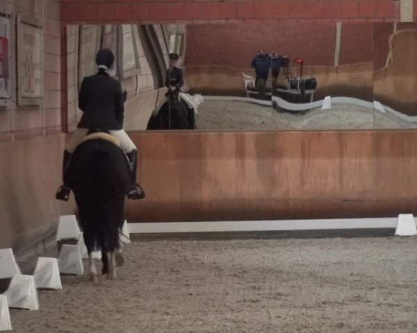 Reitturnier Mönchengladbach-Wickrath 2017