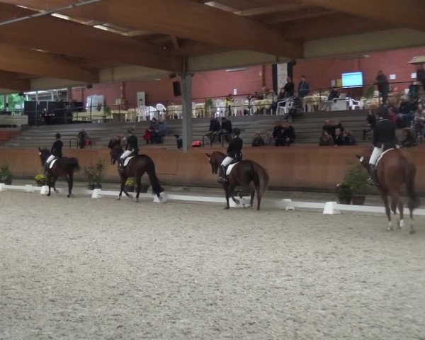 Reitturnier Mönchengladbach-Wickrath 2017