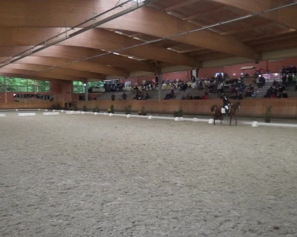 Reitturnier Mönchengladbach-Wickrath 2017