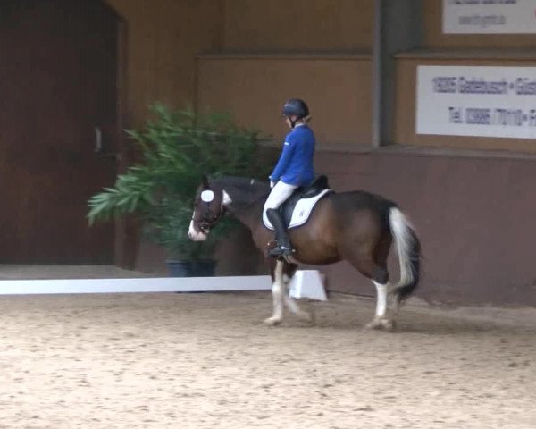 Reitturnier Gadebusch 2017