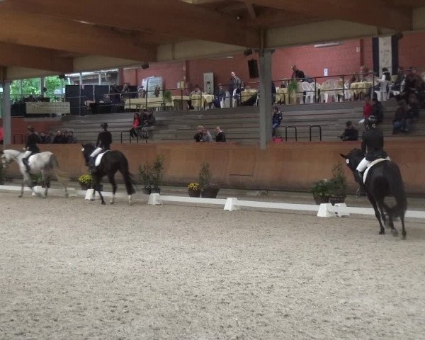 Reitturnier Mönchengladbach-Wickrath 2017