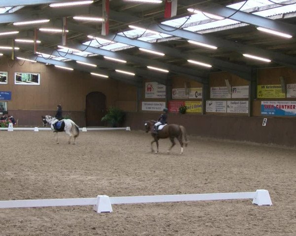 Reitturnier Gadebusch 2017