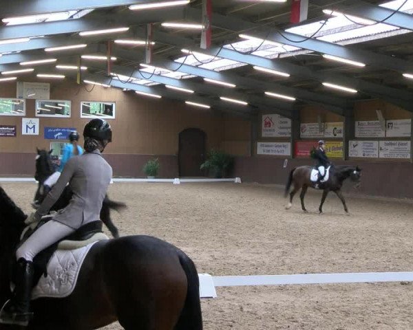 Reitturnier Gadebusch 2017