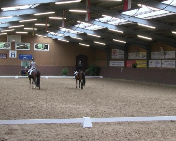 Reitturnier Gadebusch 2017