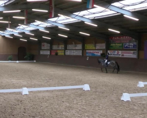 Reitturnier Gadebusch 2017