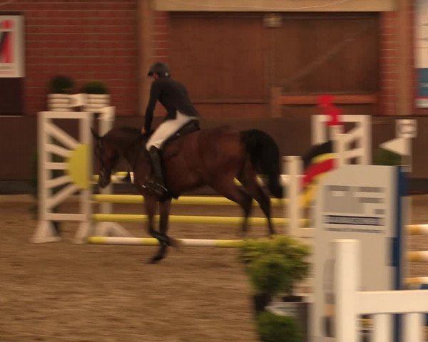 Reitturnier Hüllhorst 2017